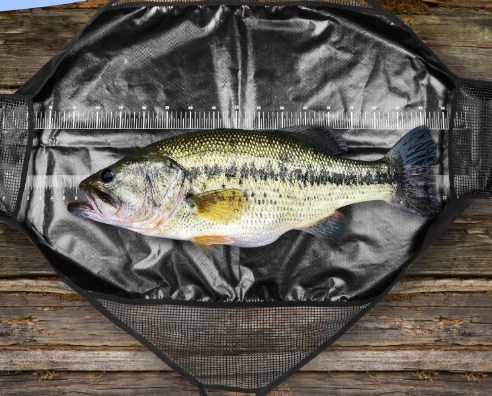 Photographed Fishing Unhooking - Fishing Bag Waterproof recensione e prezzo